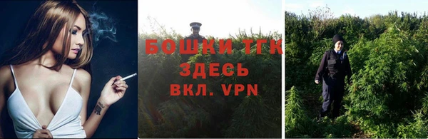 ГАЛЛЮЦИНОГЕННЫЕ ГРИБЫ Горно-Алтайск