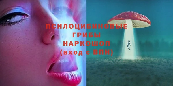 бошки Горнозаводск