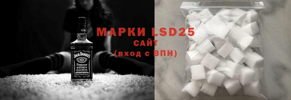 ГАЛЛЮЦИНОГЕННЫЕ ГРИБЫ Горно-Алтайск