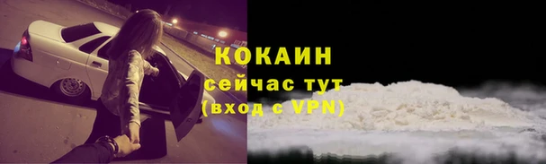 ГАЛЛЮЦИНОГЕННЫЕ ГРИБЫ Горно-Алтайск