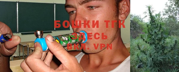бошки Горнозаводск