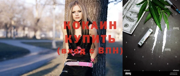 ГАЛЛЮЦИНОГЕННЫЕ ГРИБЫ Горно-Алтайск