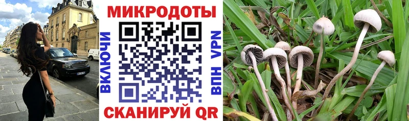 Псилоцибиновые грибы мухоморы  Купить  Кремёнки 